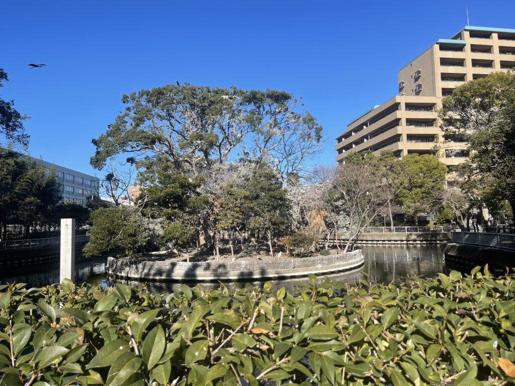 サギがいる横十間川親水公園と仙台堀公園の交差点
