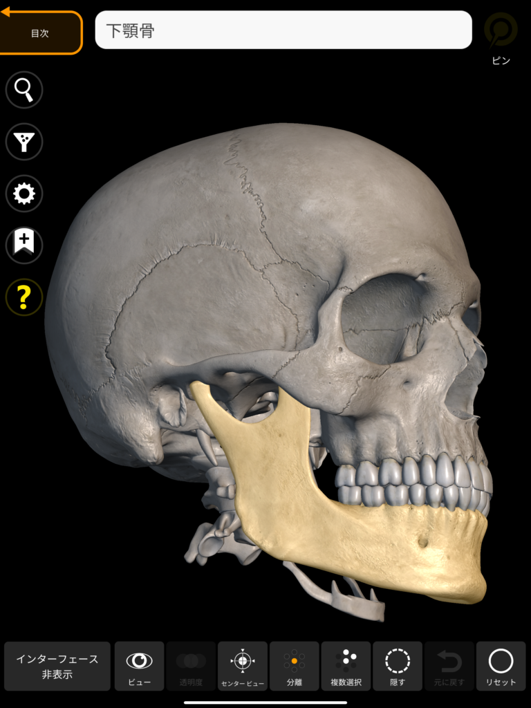 下顎骨 3Dアトラス