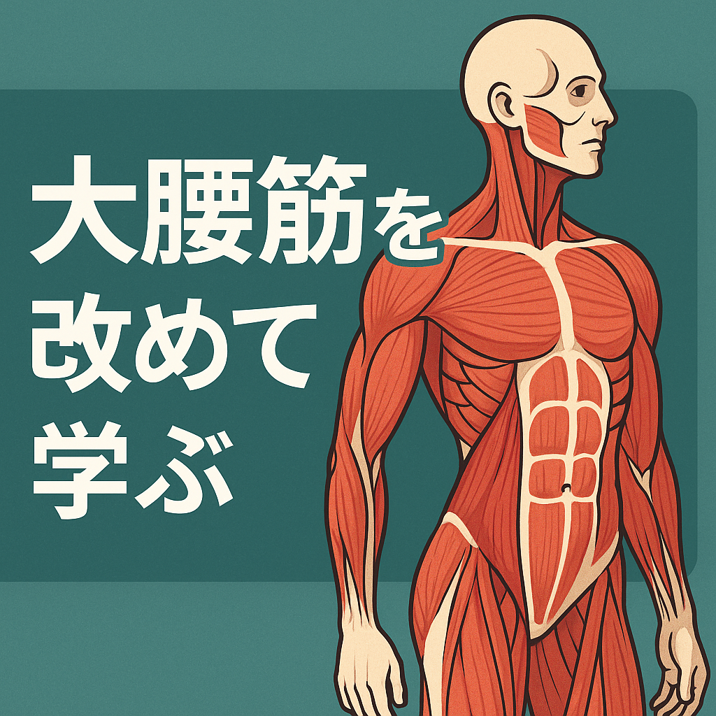 君は大腰筋を知っているか?